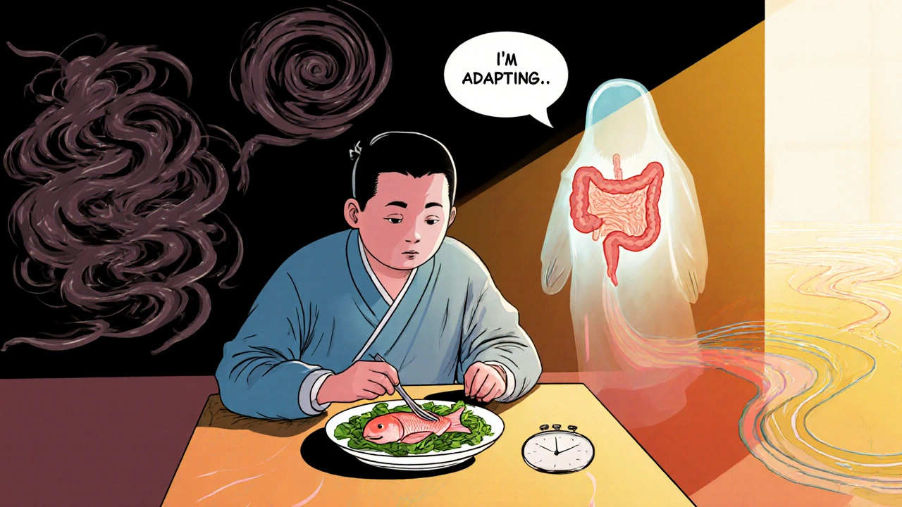 Post-surgery patient with ghostly gallbladder and contrasting calm vs chaotic digestive flow